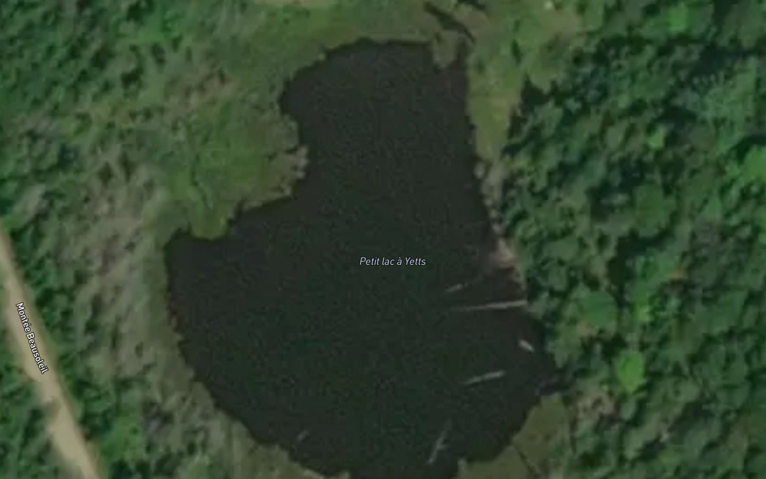 Petit lac a Yetts