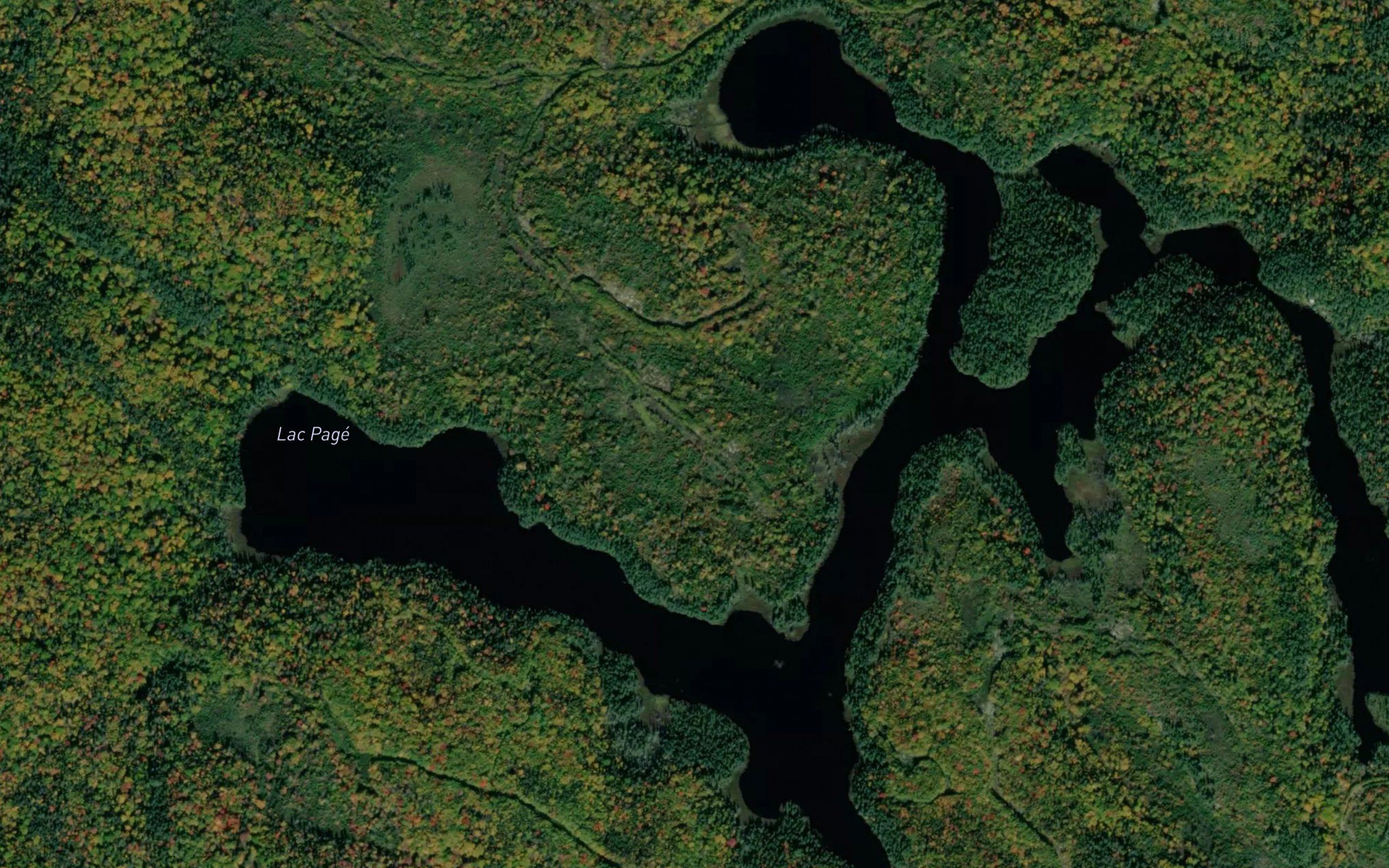 Lac Page