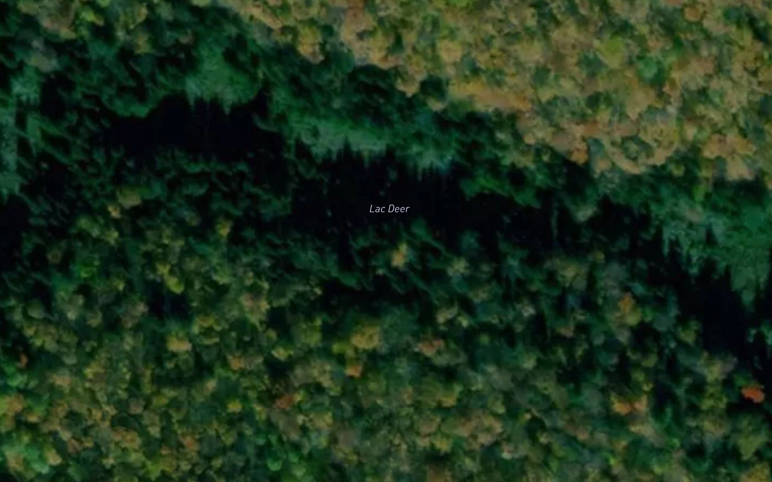 Lac Deer