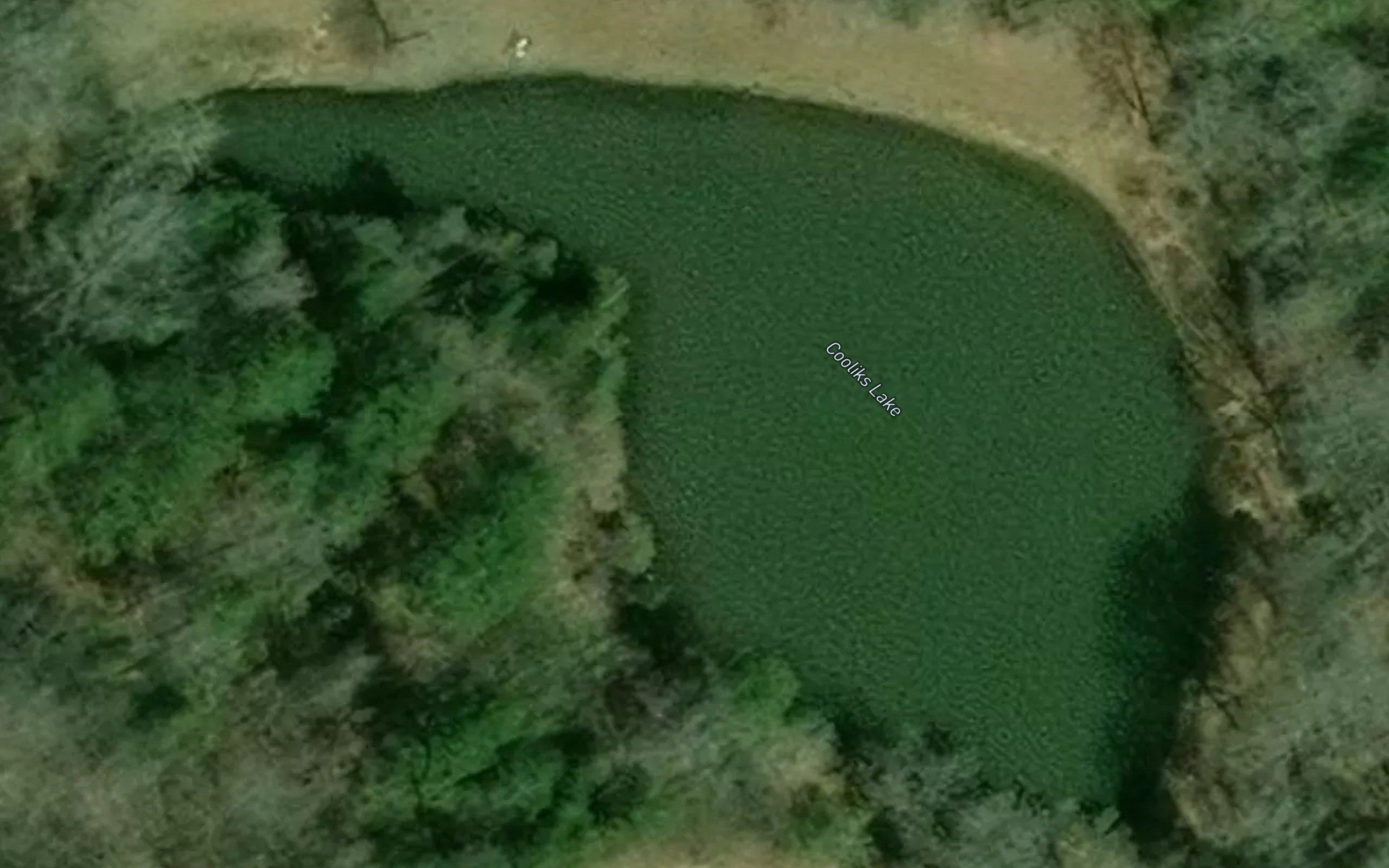 Cooliks Lake