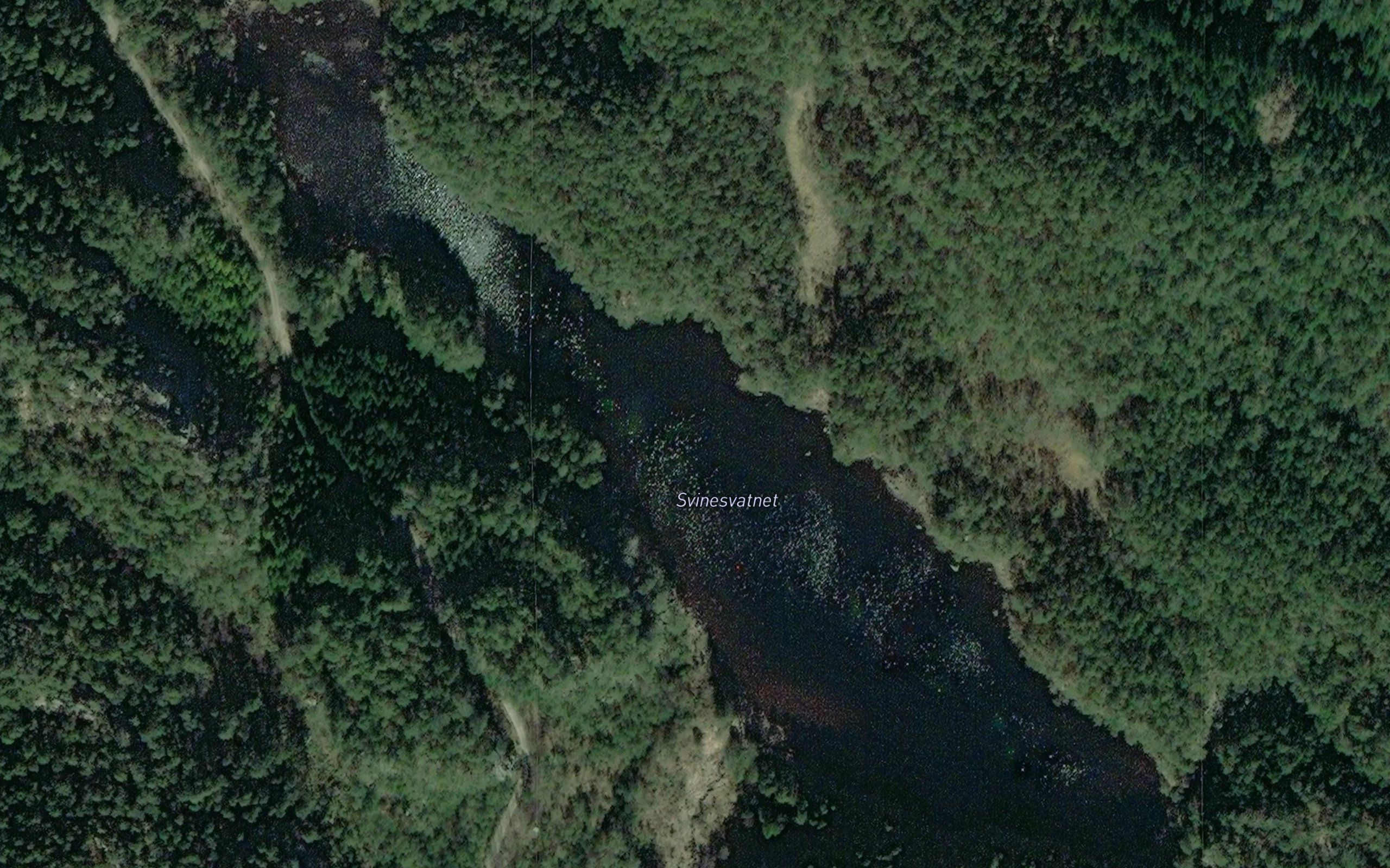 Svinesvatna