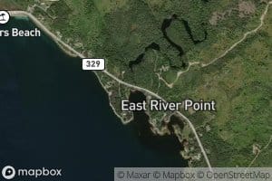 Little East River