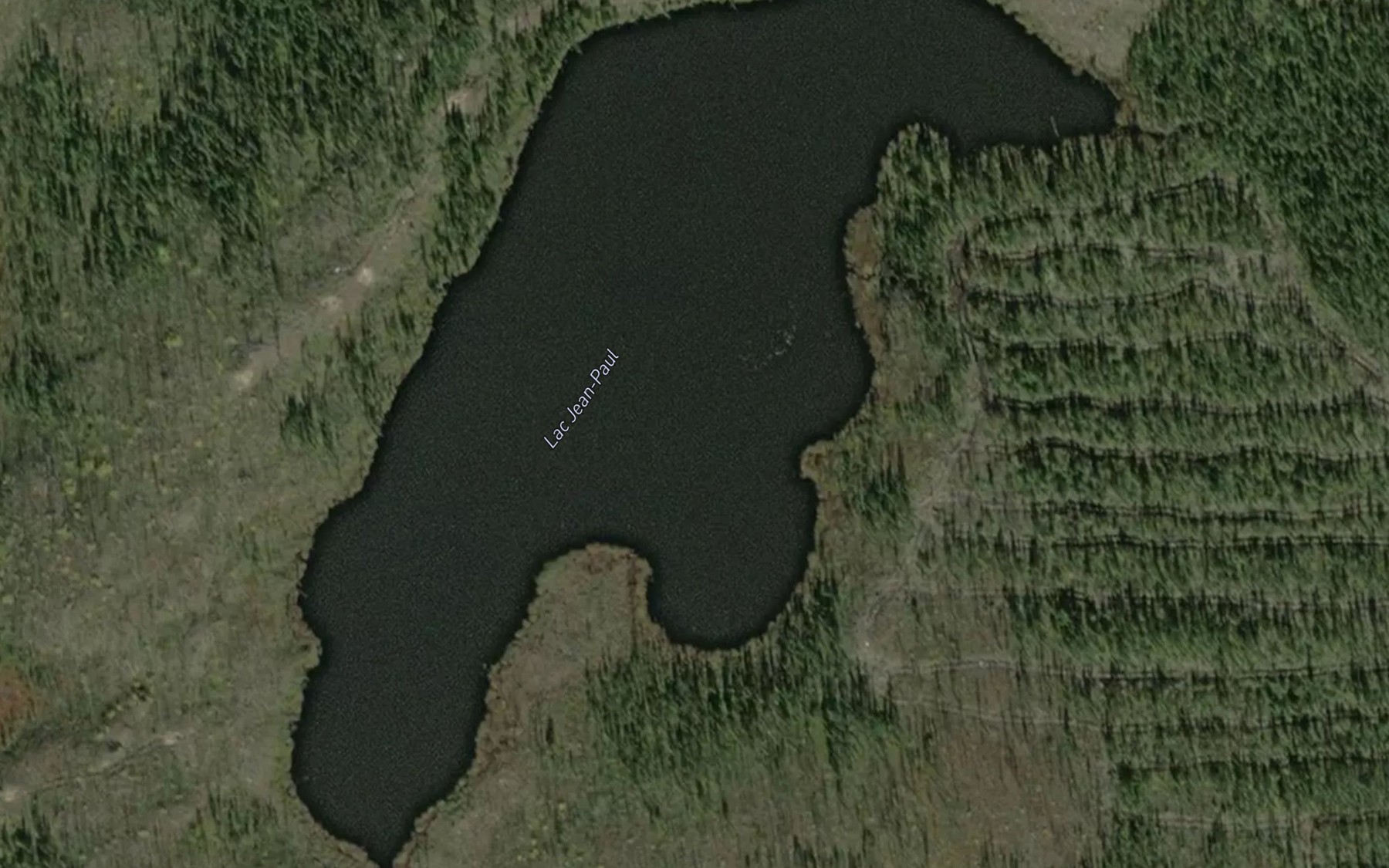 Satellite map of the Lac Jean-Paul