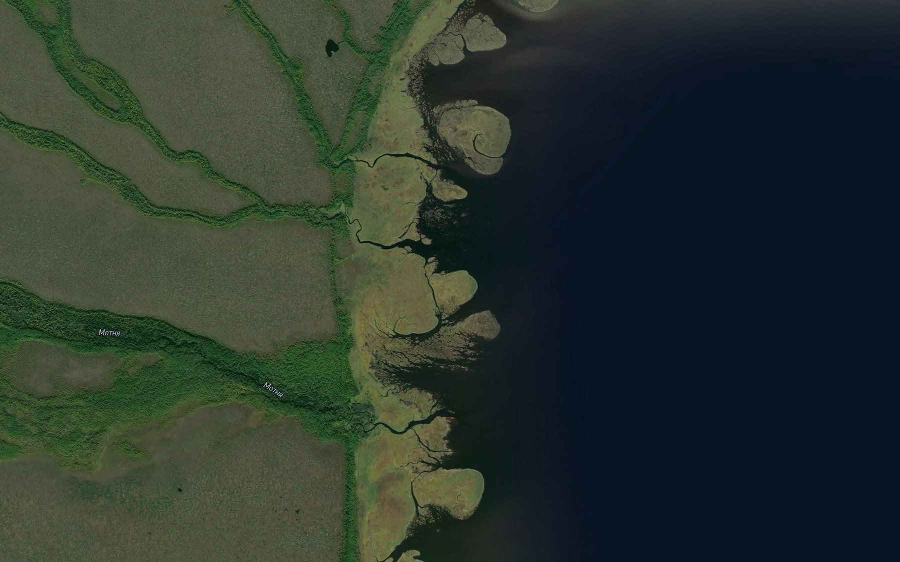 Satellite map of the Uynya