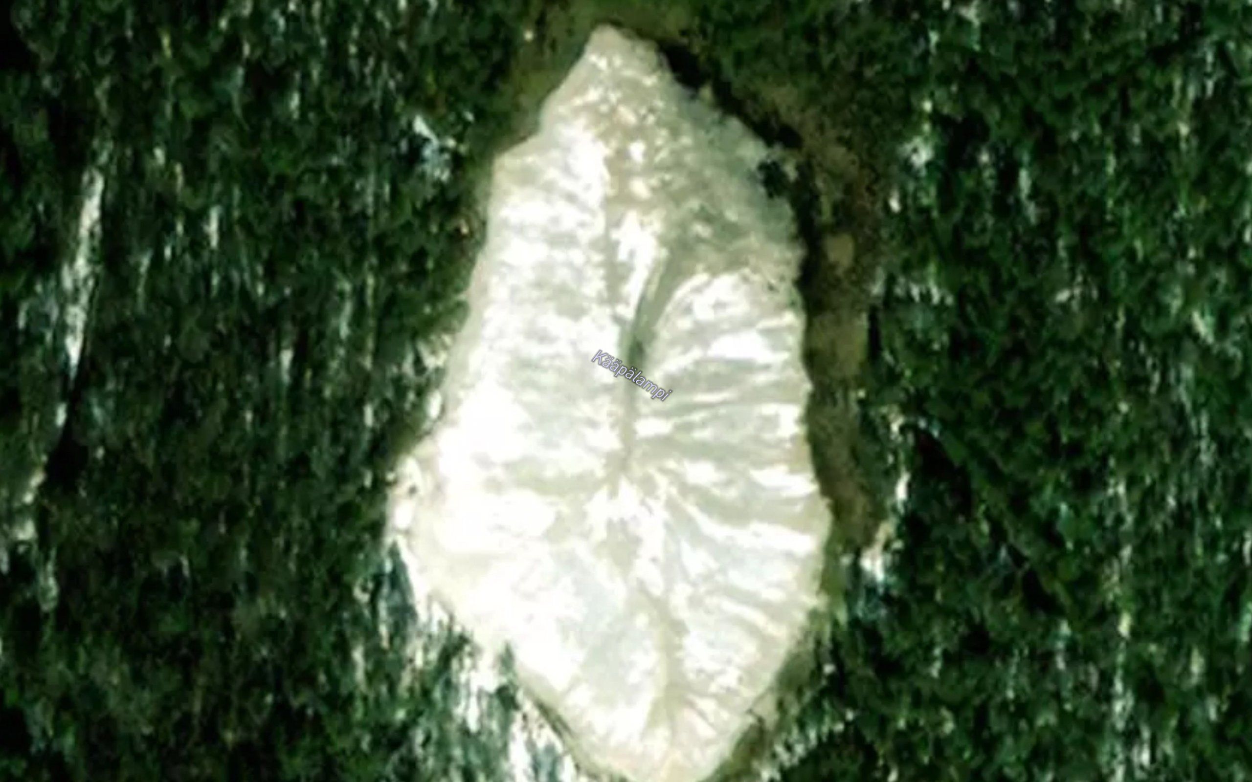 Kaapalampi