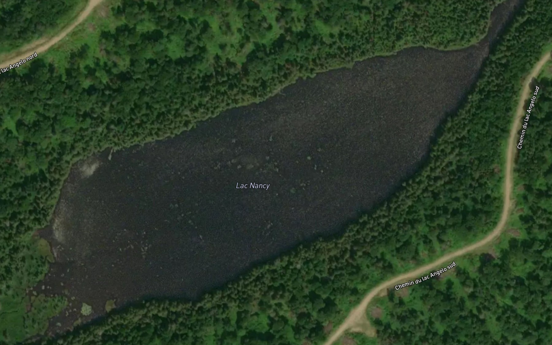 Satellite map of the Lac Nancy