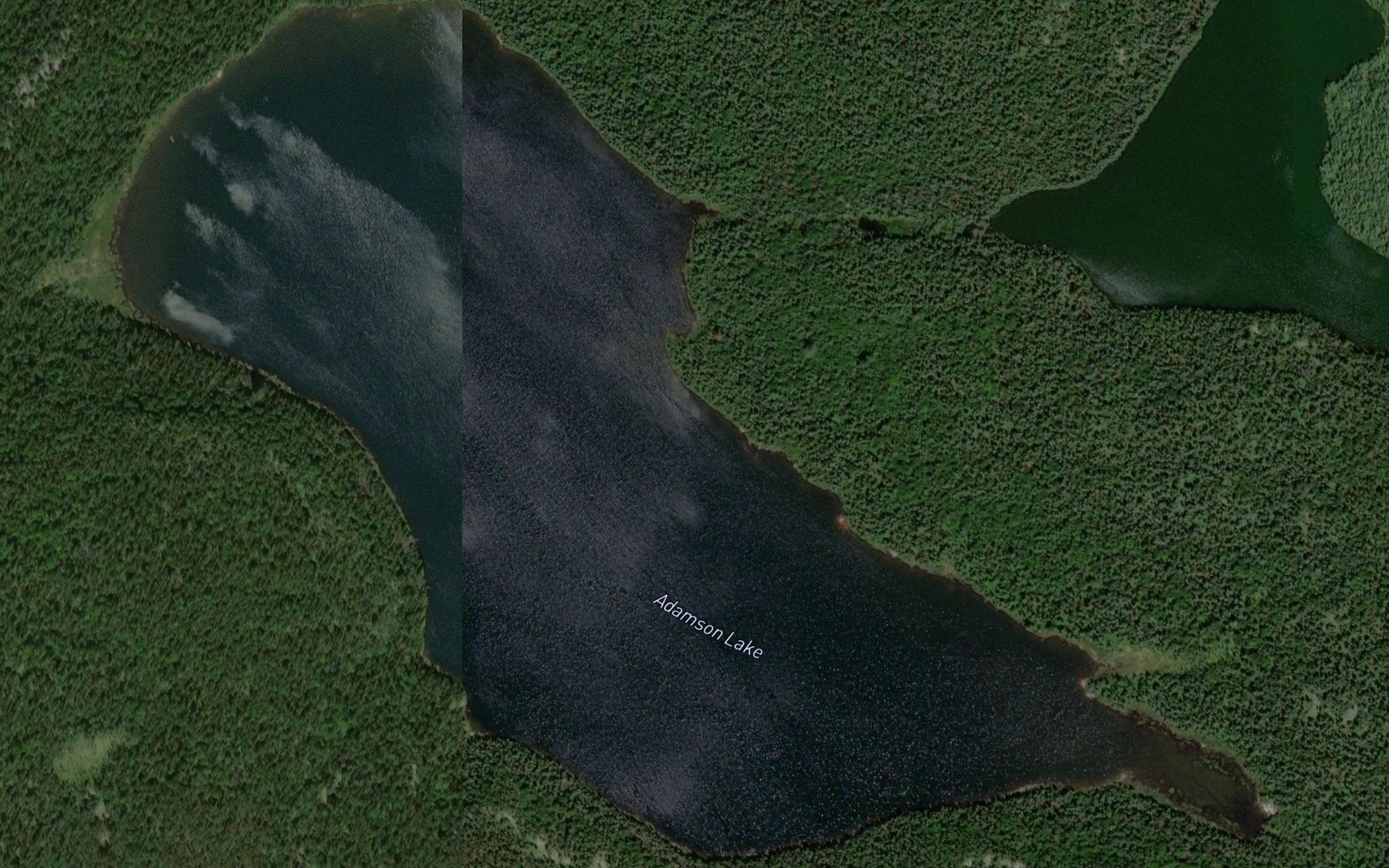 Satellite map of the Adamson Lake