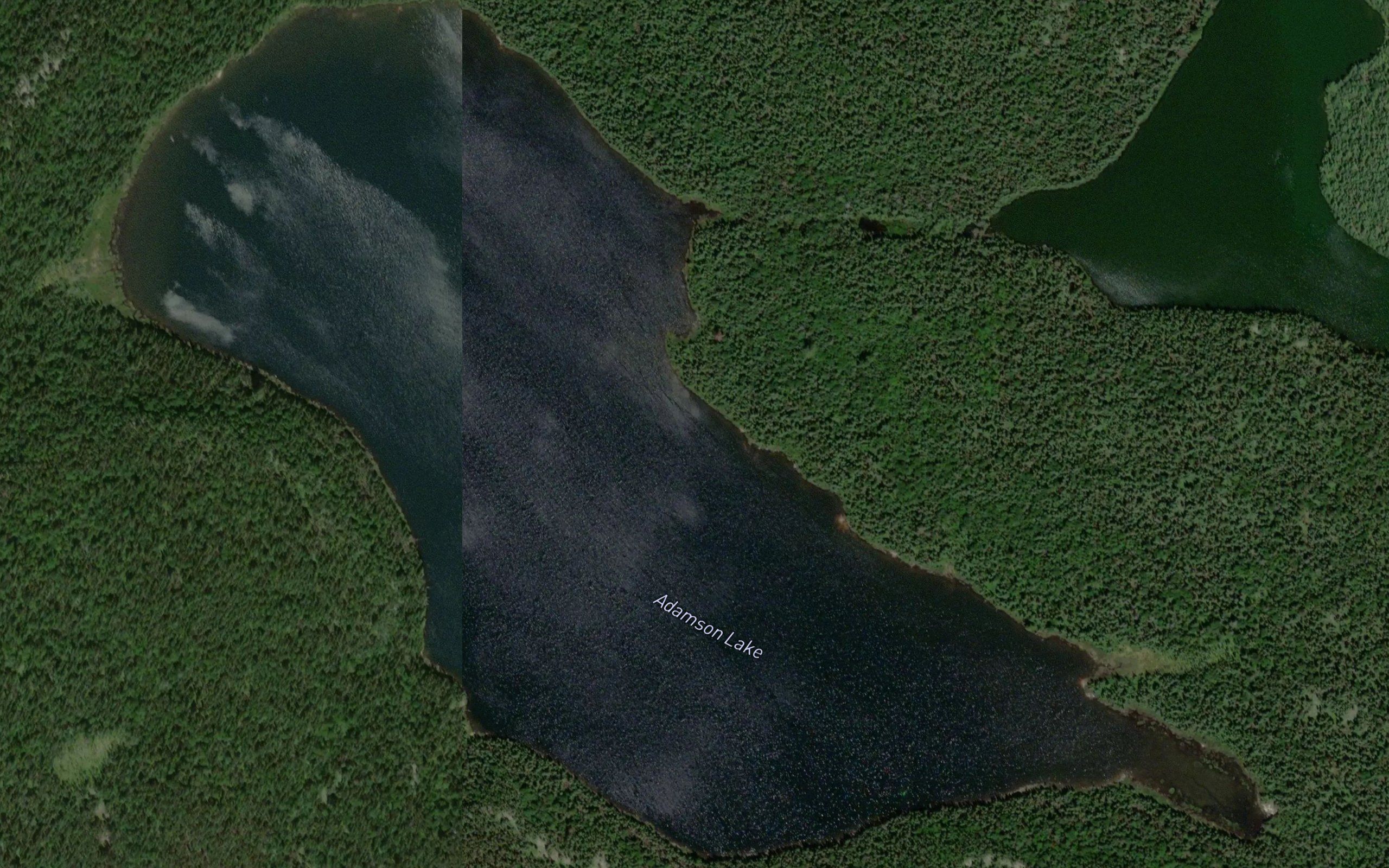 Adamson Lake