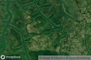 Little Lacassine Bayou