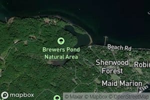 Brewer Pond