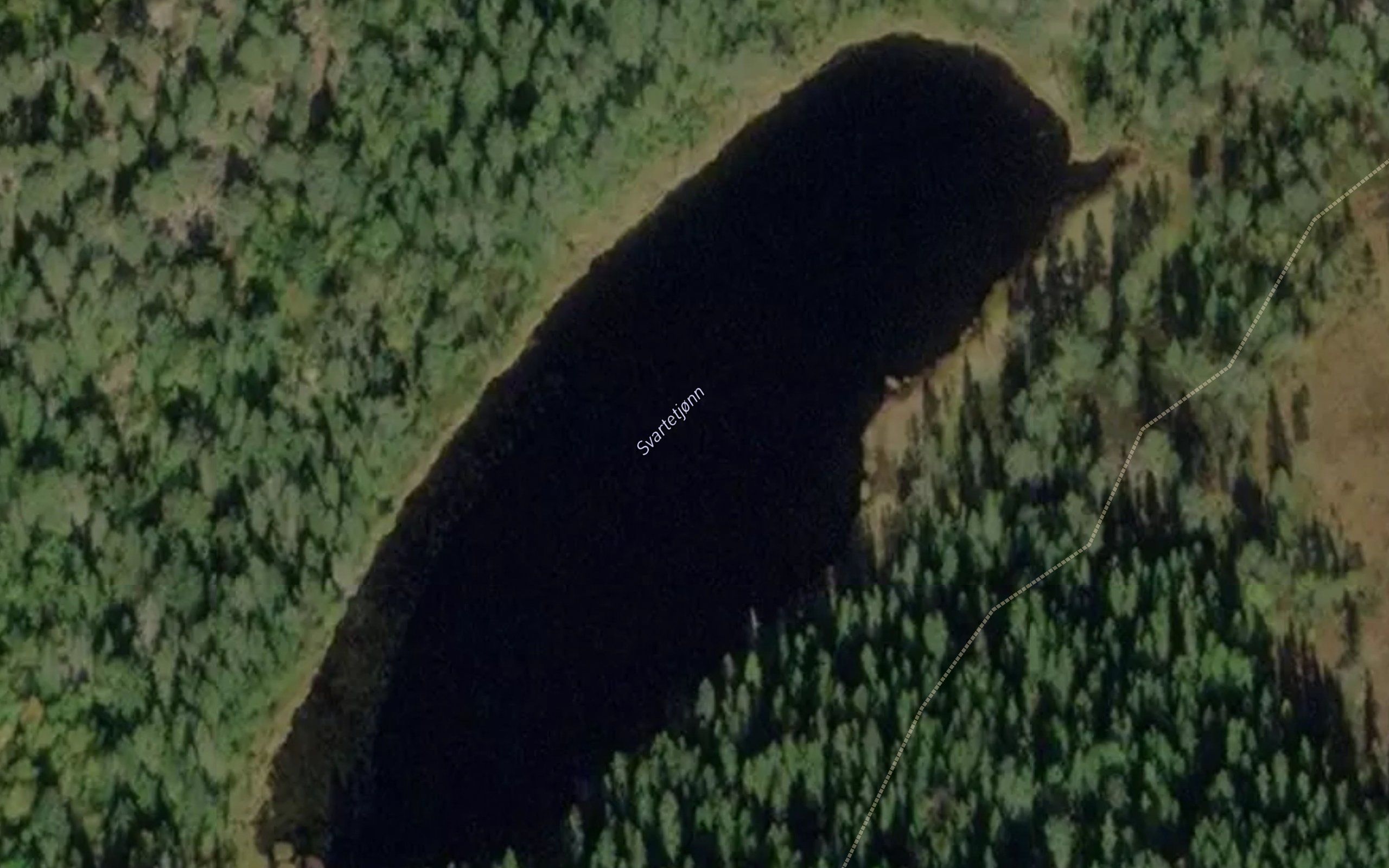 Svartetjorn