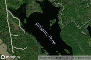 Williams Pond