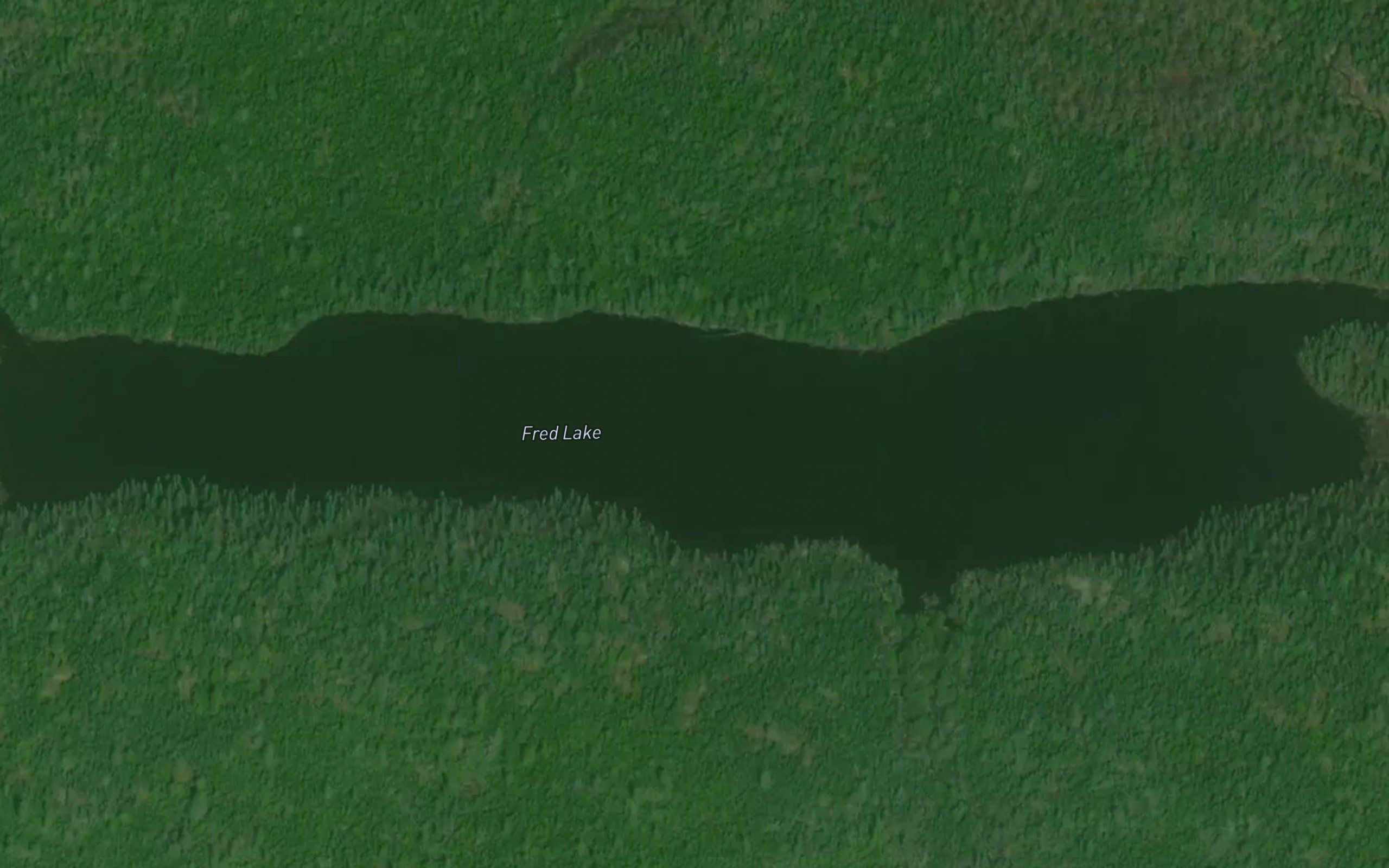 Fred Lake