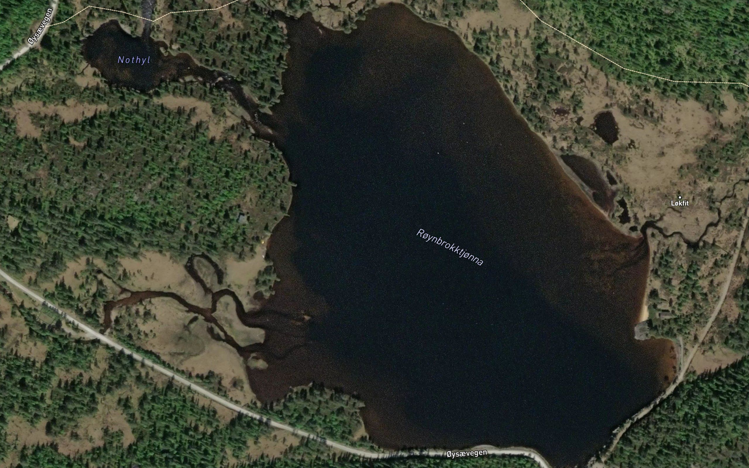 Roynbrokktjorn