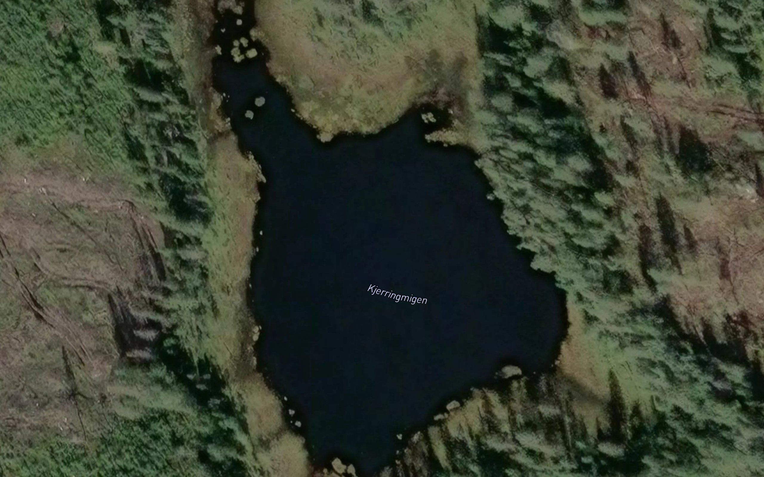 Kjerringmigen