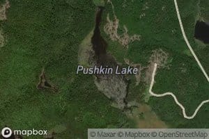 Pushkin Lake