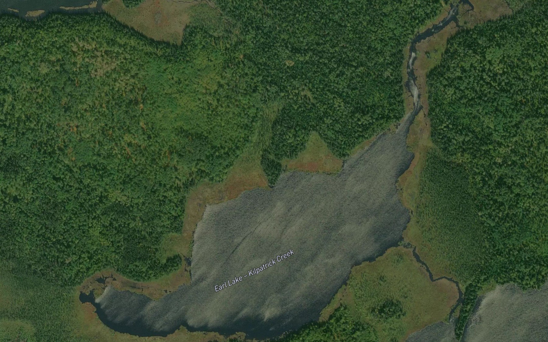 Satellite map of the Earl Lake