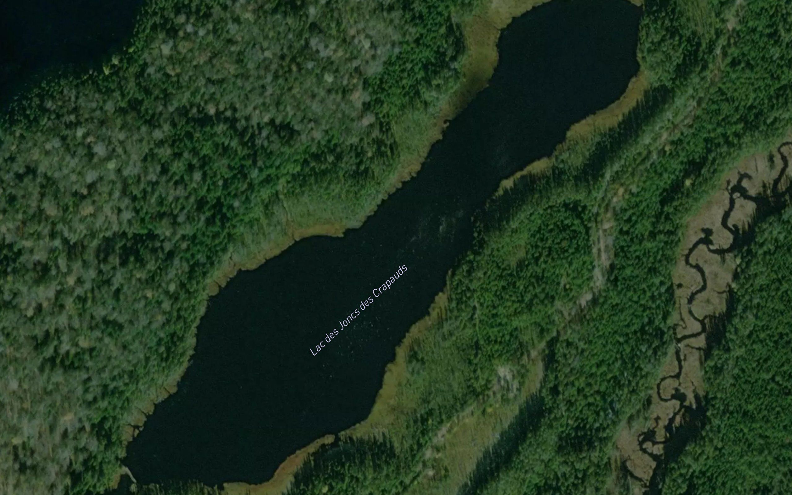 Lac des Joncs des Crapauds