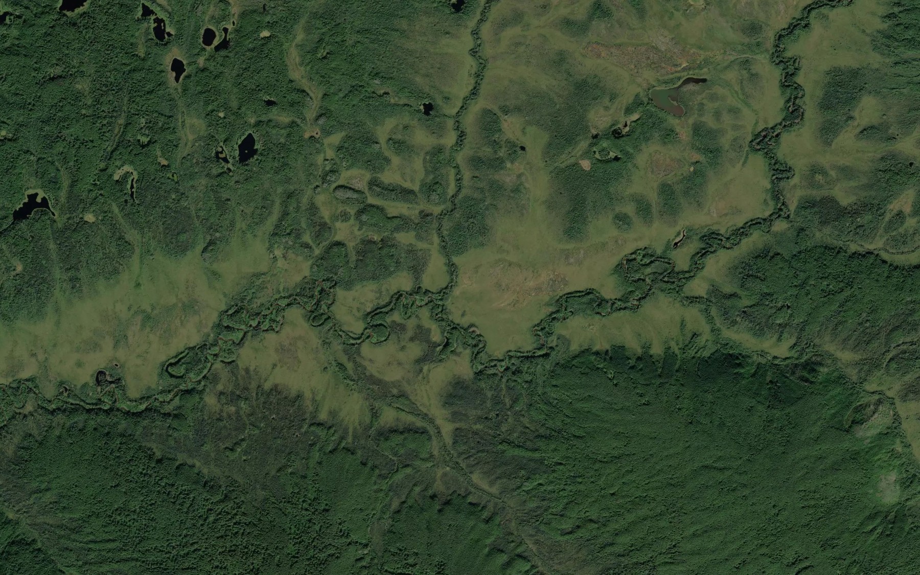 Satellite map of the Woodchopper Creek