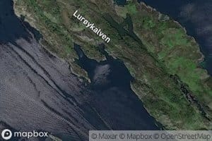 Kalvsviki