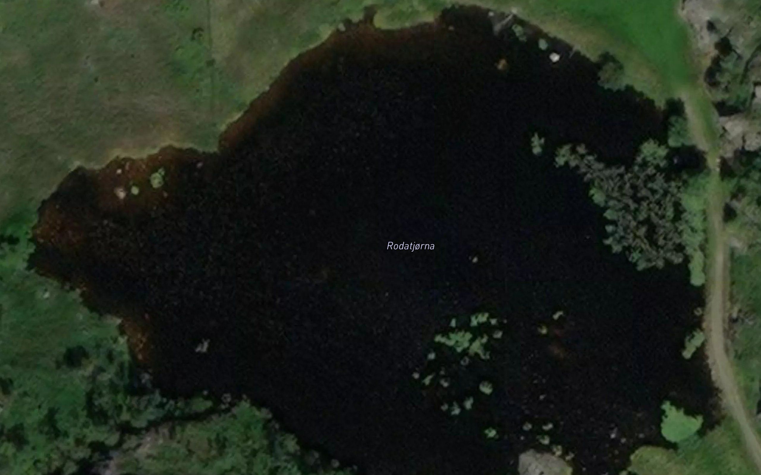 Rodatjorna