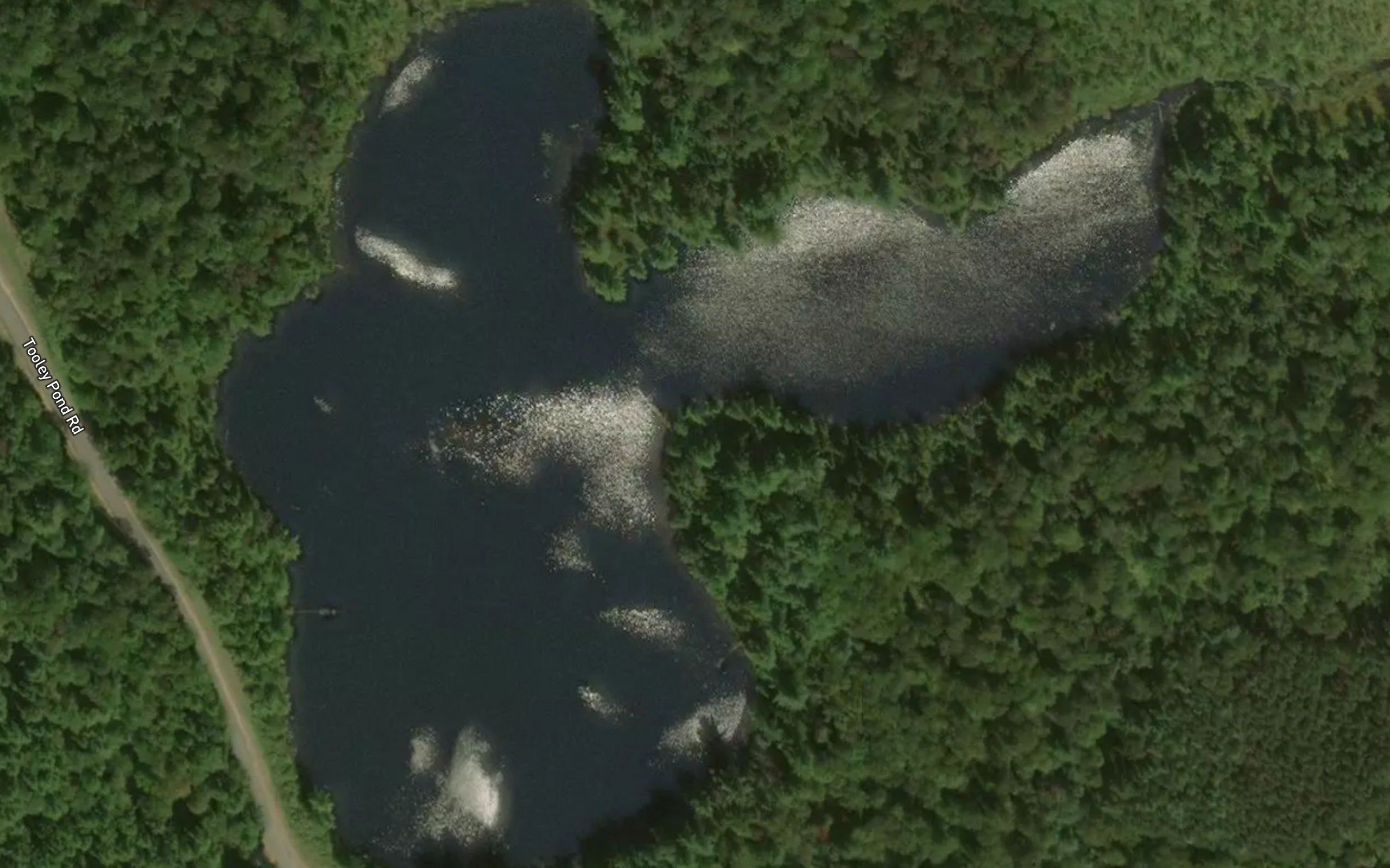 Dillon Pond