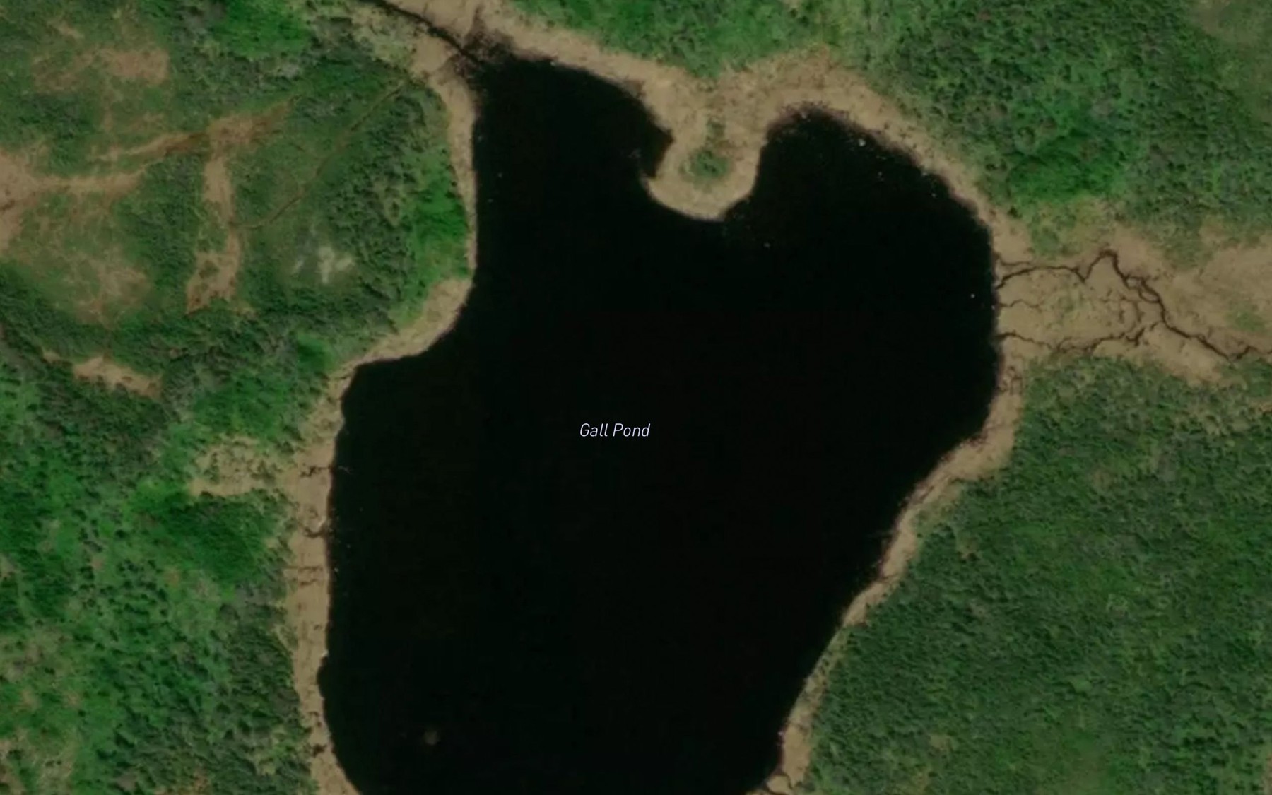 Satellite map of the Gall Pond