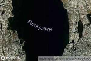 Burriejaevrie