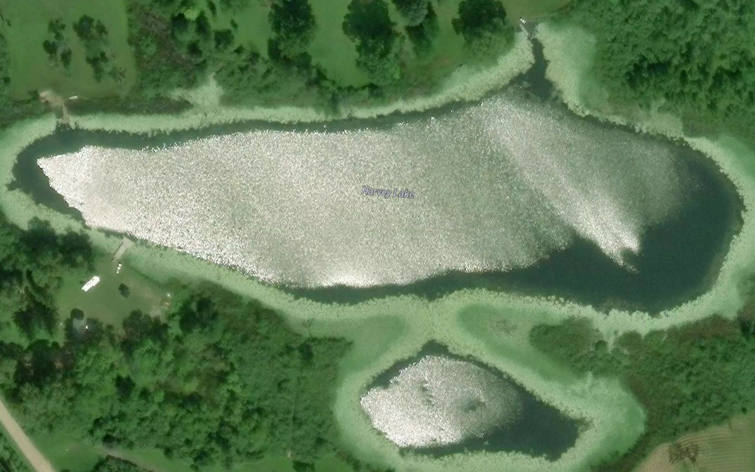 Harvey Lake
