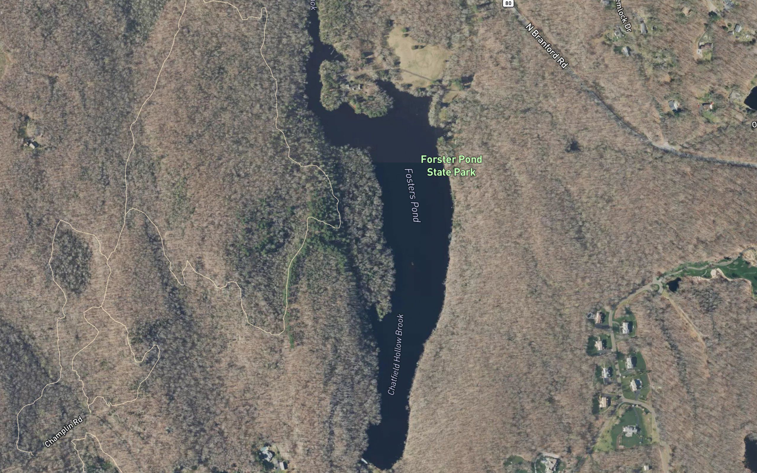 Foster Pond