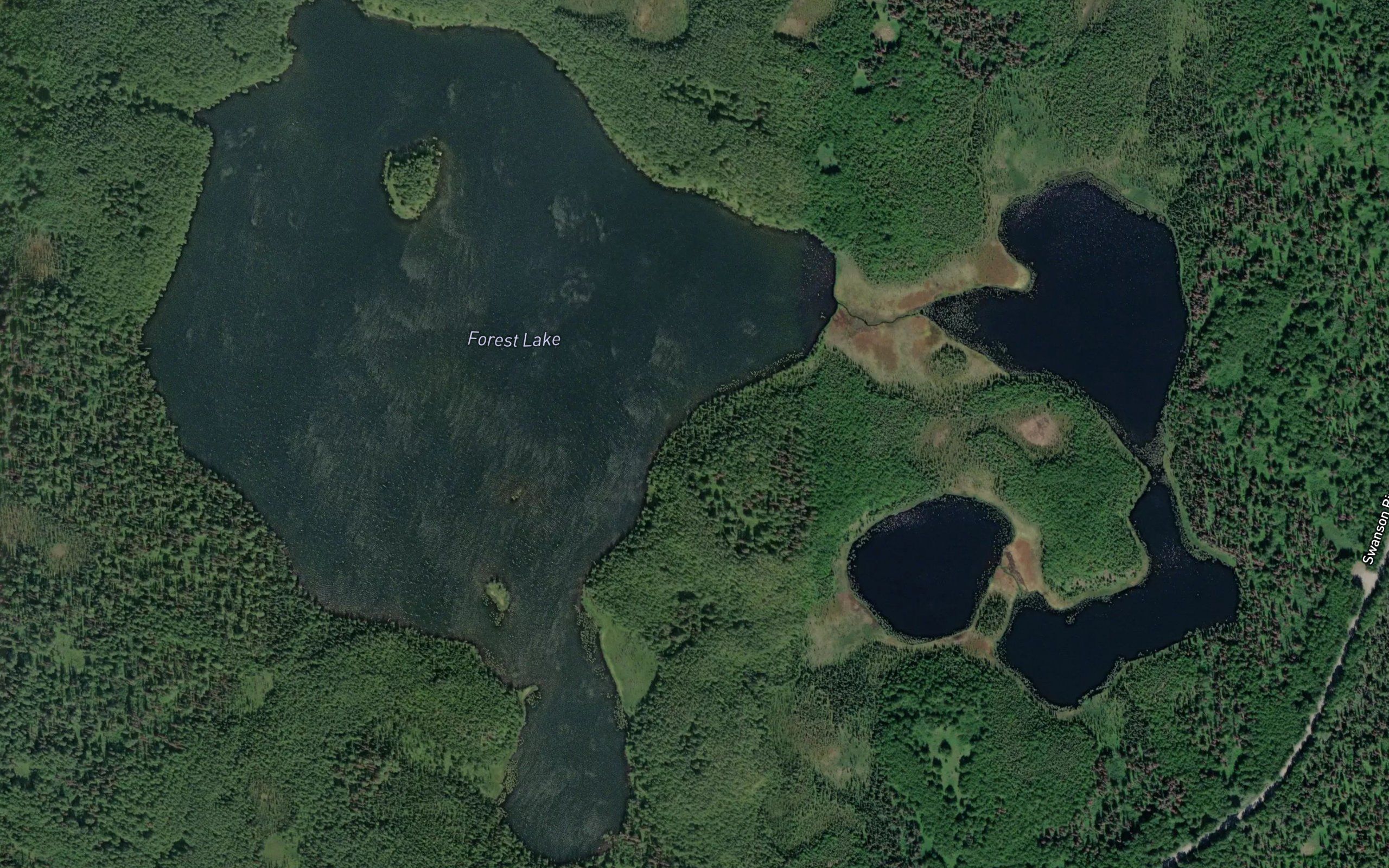 Forest Lake