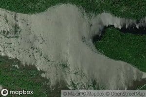 Mossy Lake