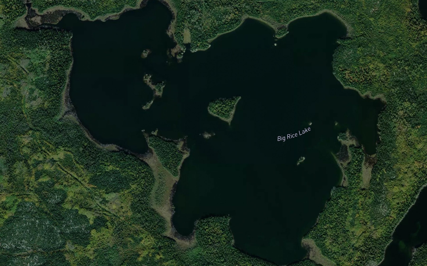 Satellite map of the Big Rice Lake