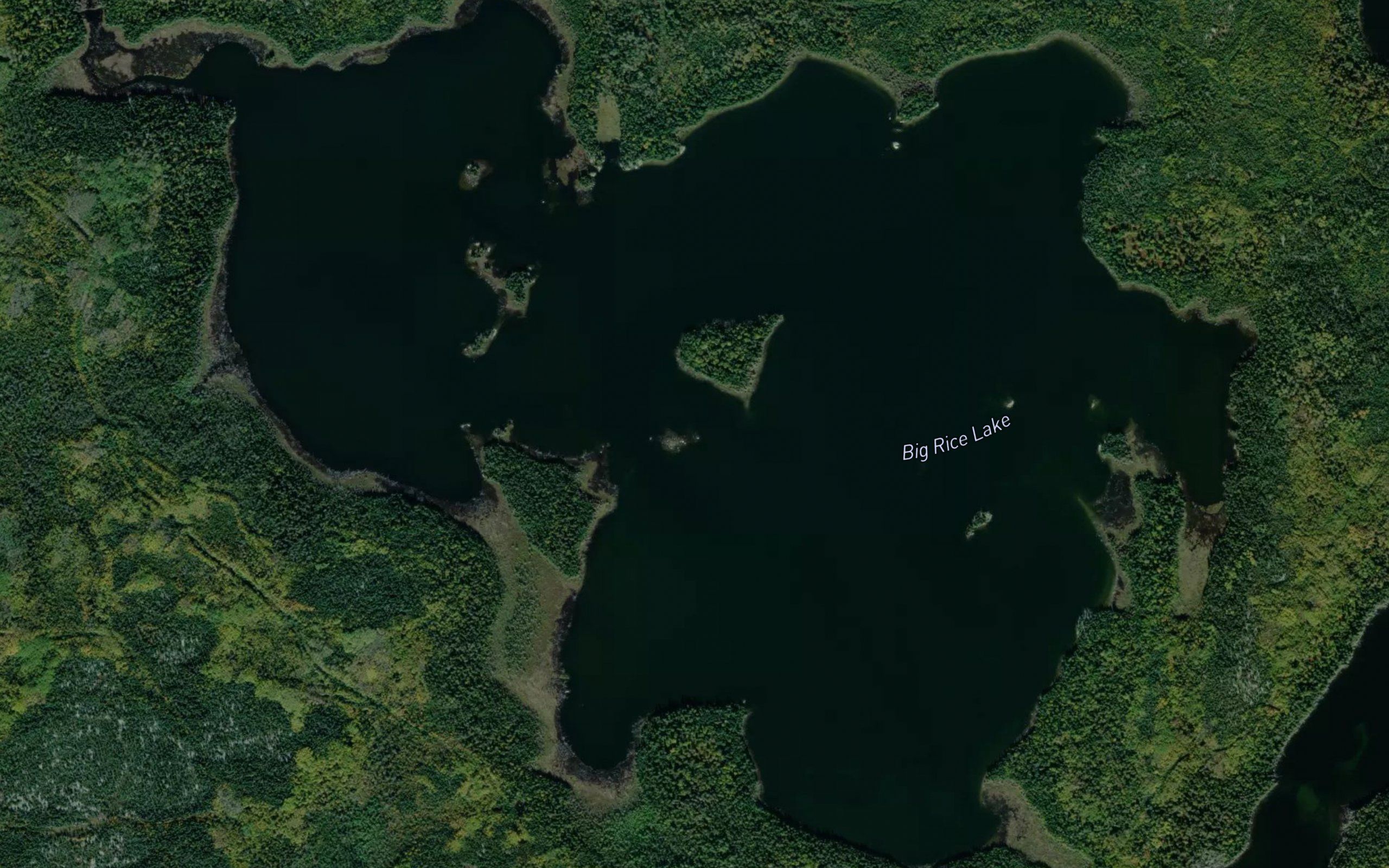 Big Rice Lake