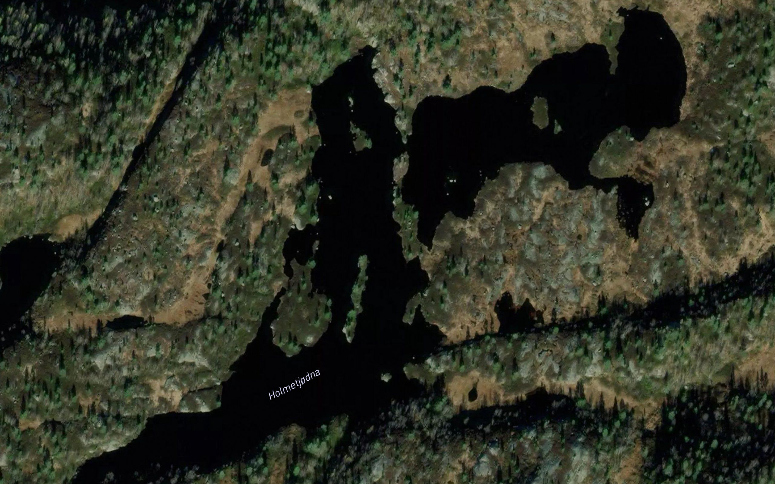 Holmetjorn