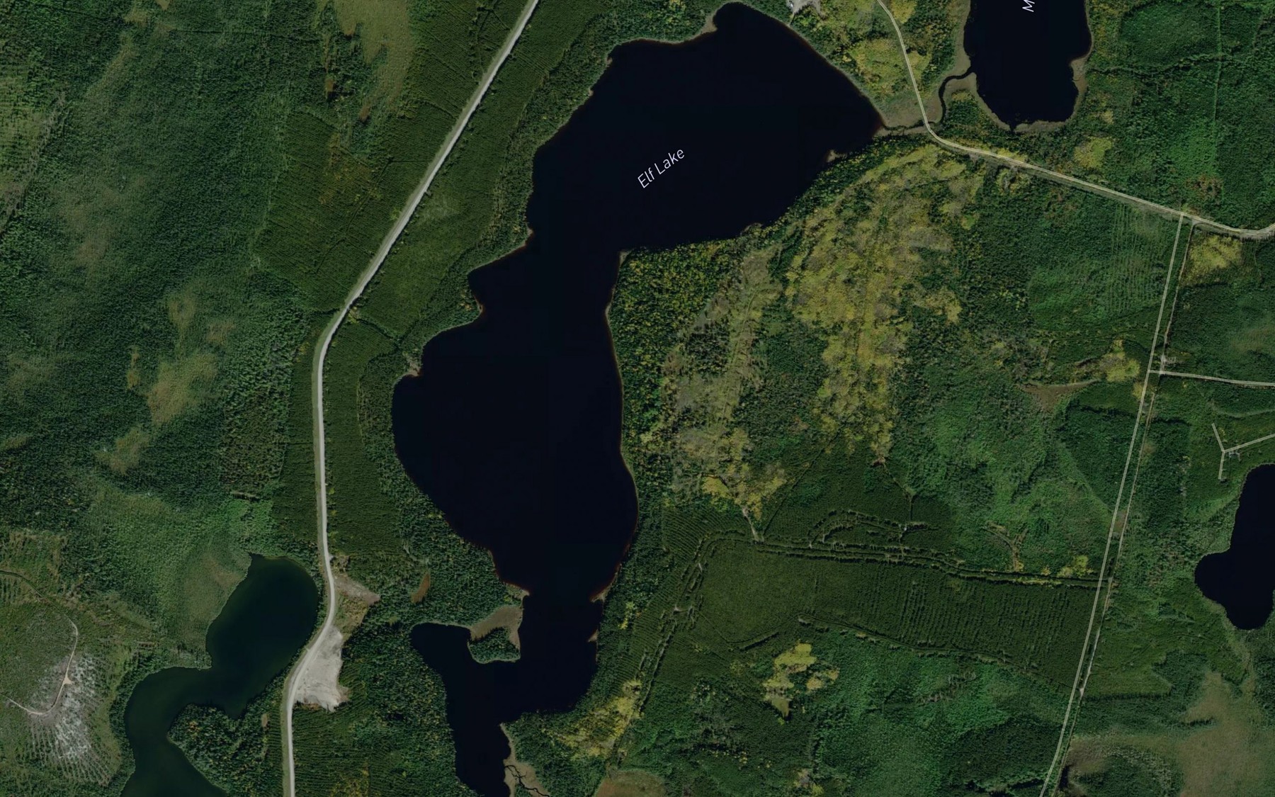 Satellite map of the Elf Lake