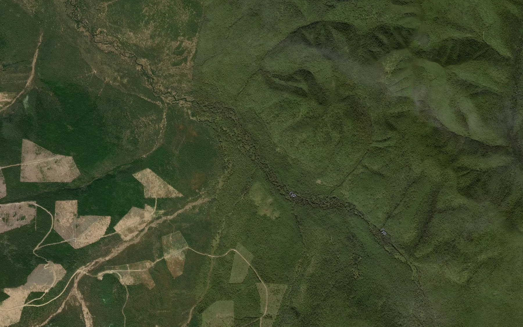 Satellite map of the Pyatnistyy
