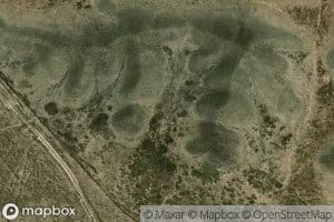 Canada Coyotes Bravos