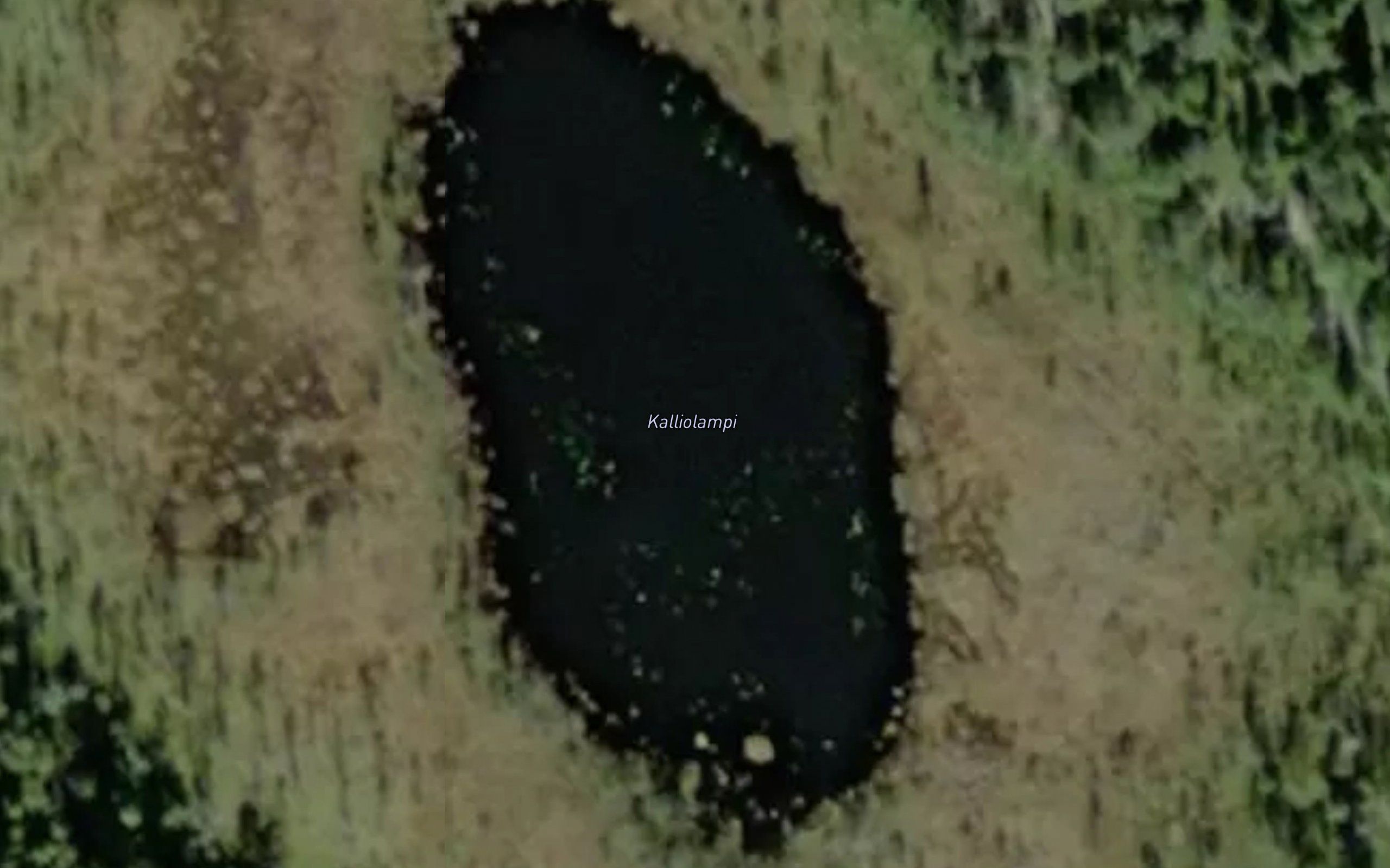 Kalliolampi
