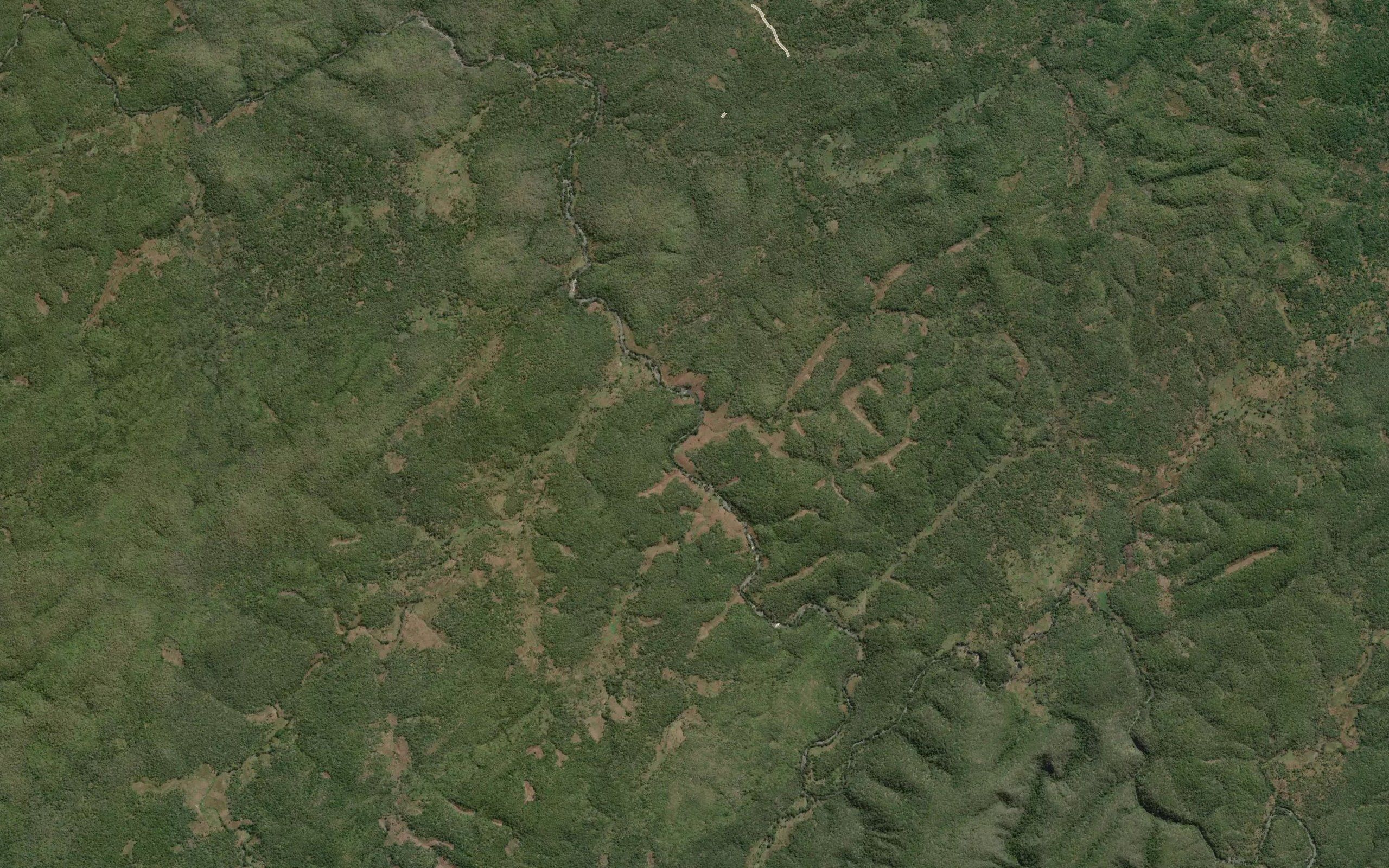 Mutoba