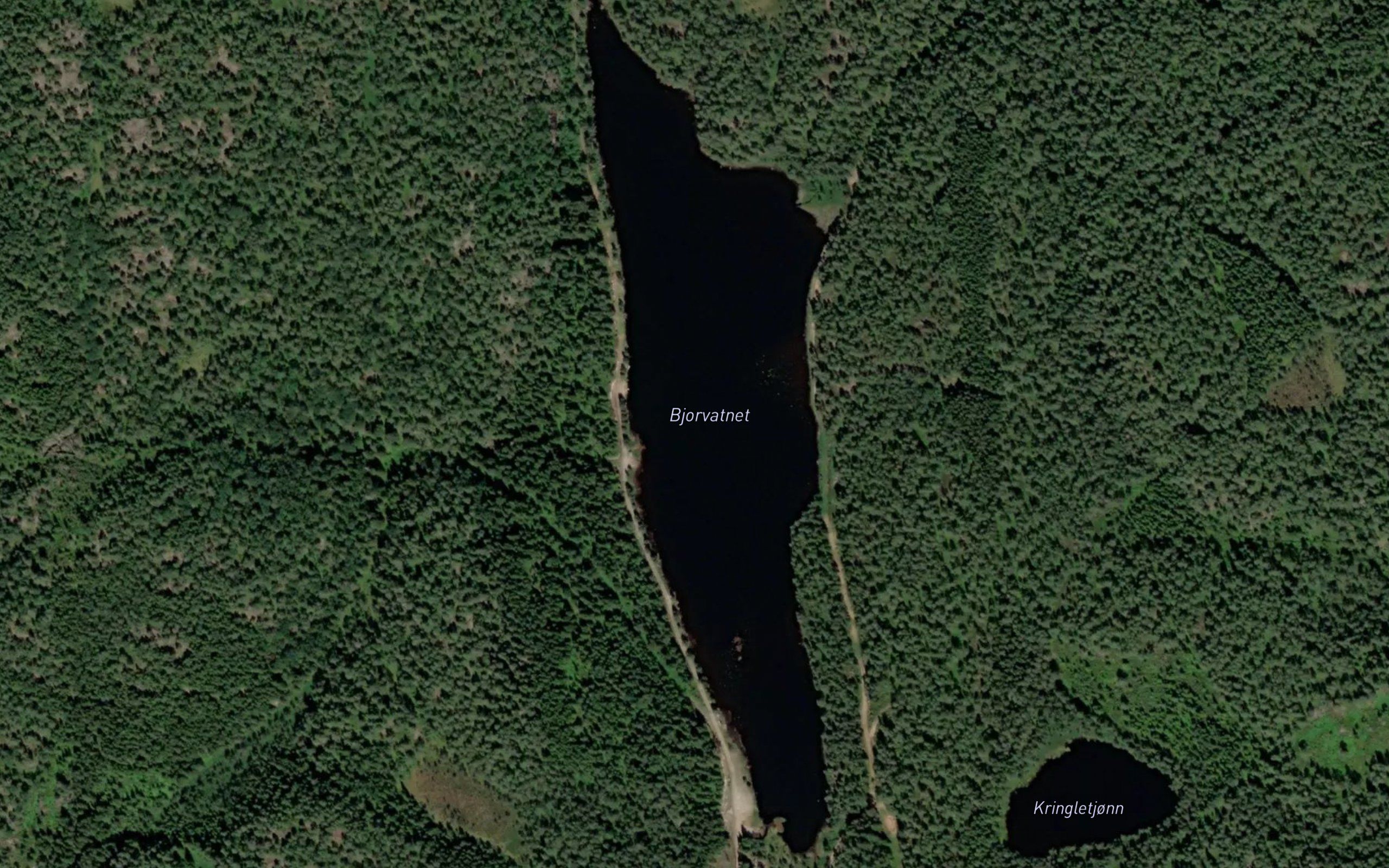 Bjorvatnet