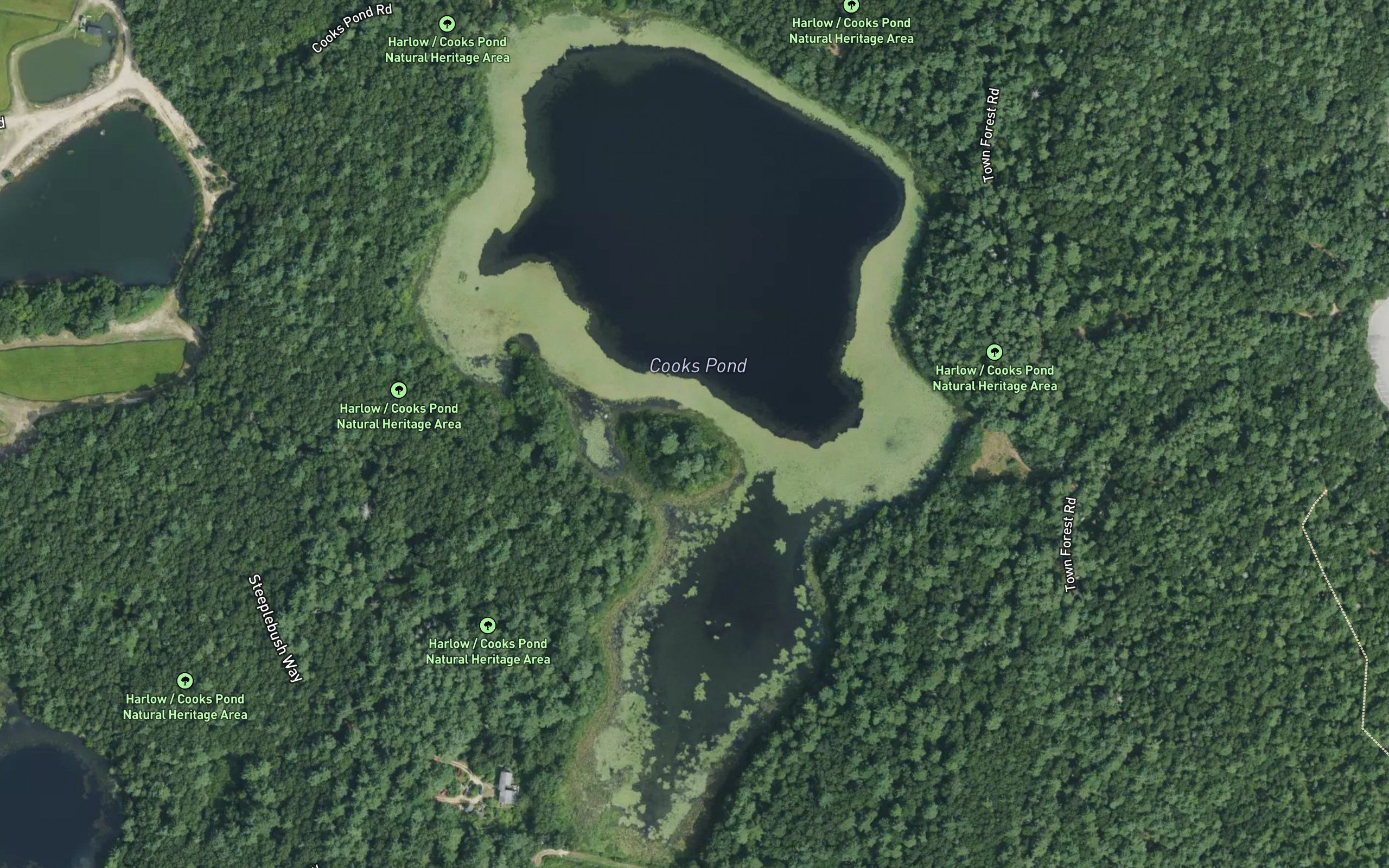 Cooks Pond