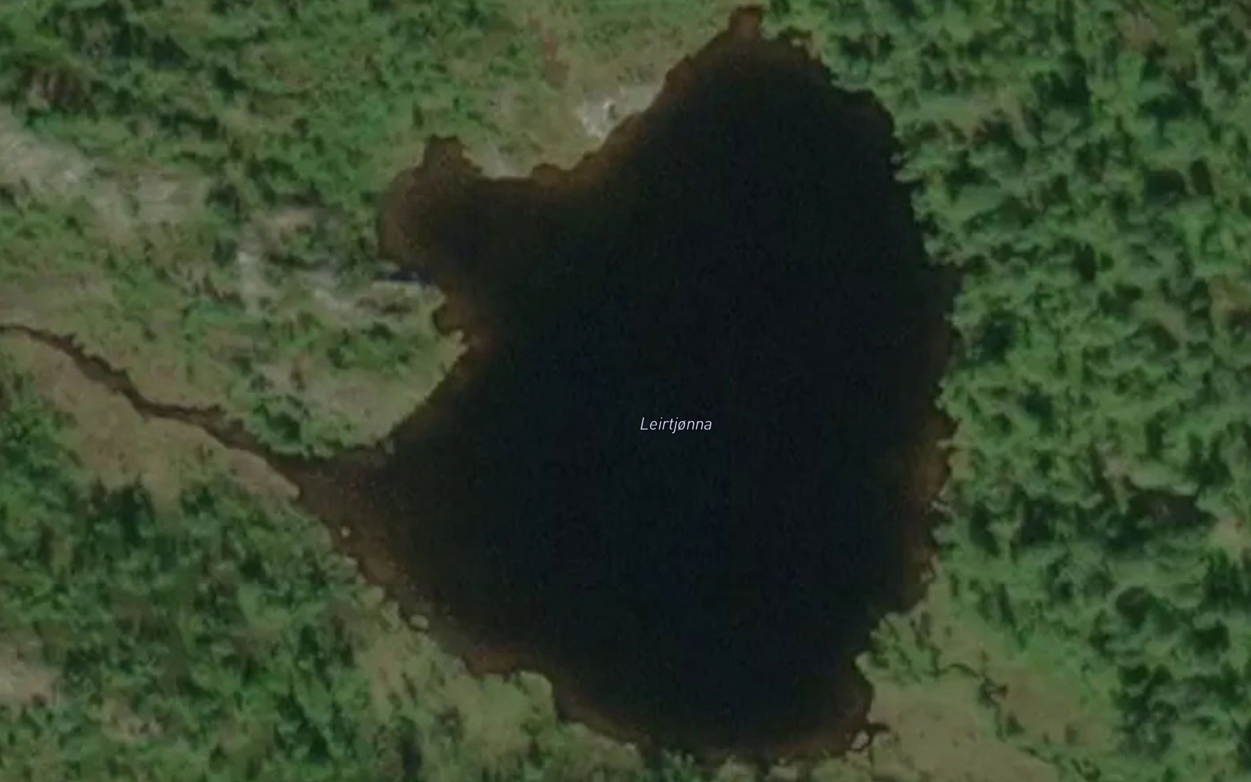 Leirtjorna