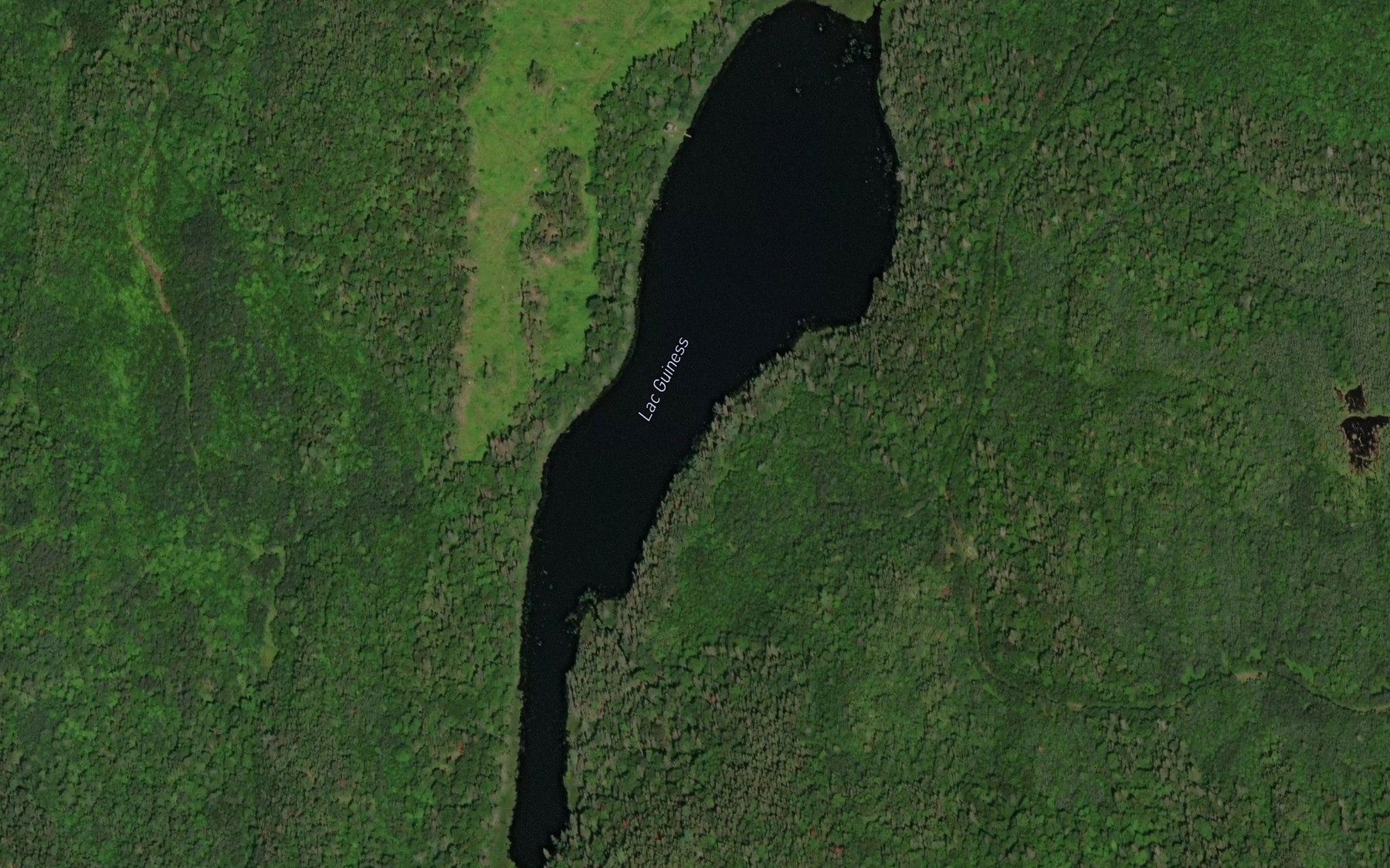 Satellite map of the Lac Guiness
