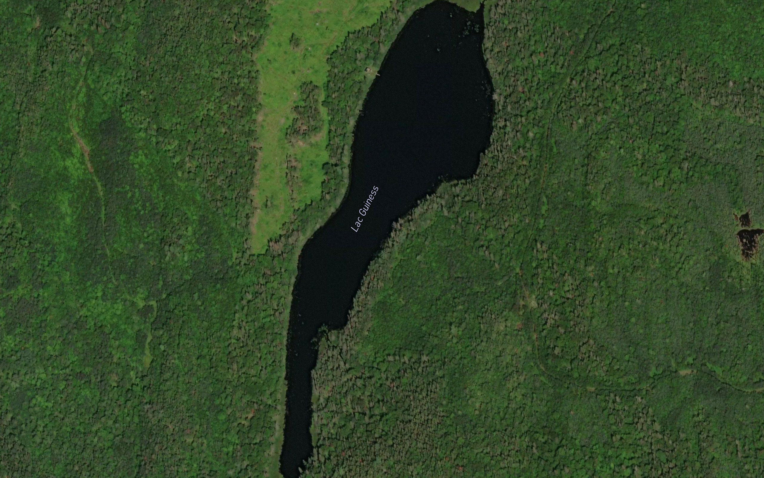 Lac Guiness