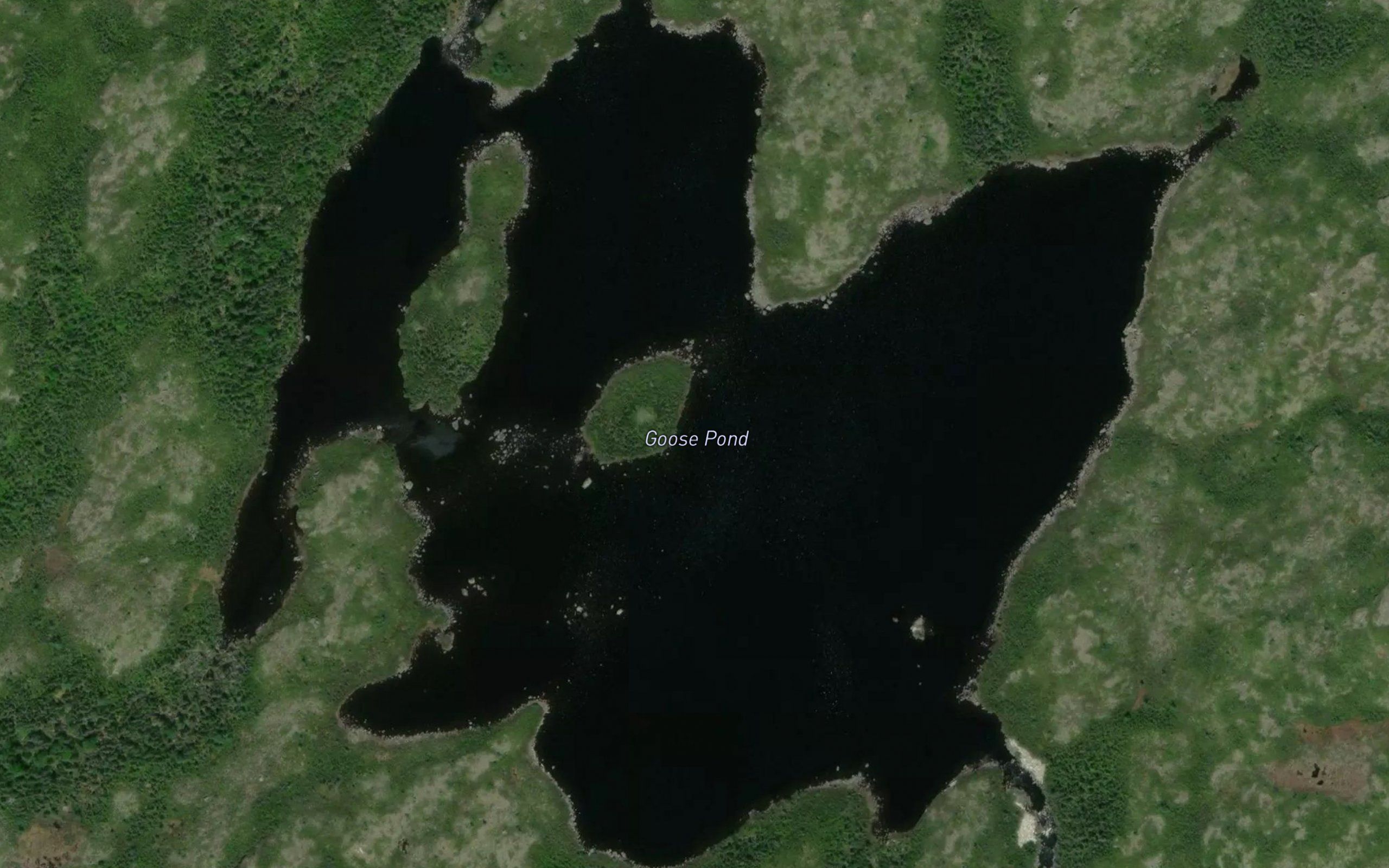 Goose Pond
