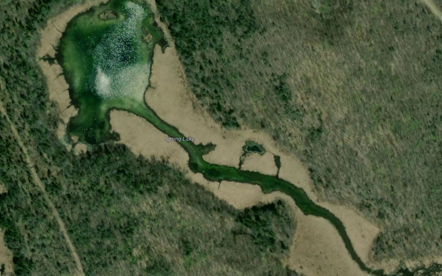 Satellite map of the Spring Lake