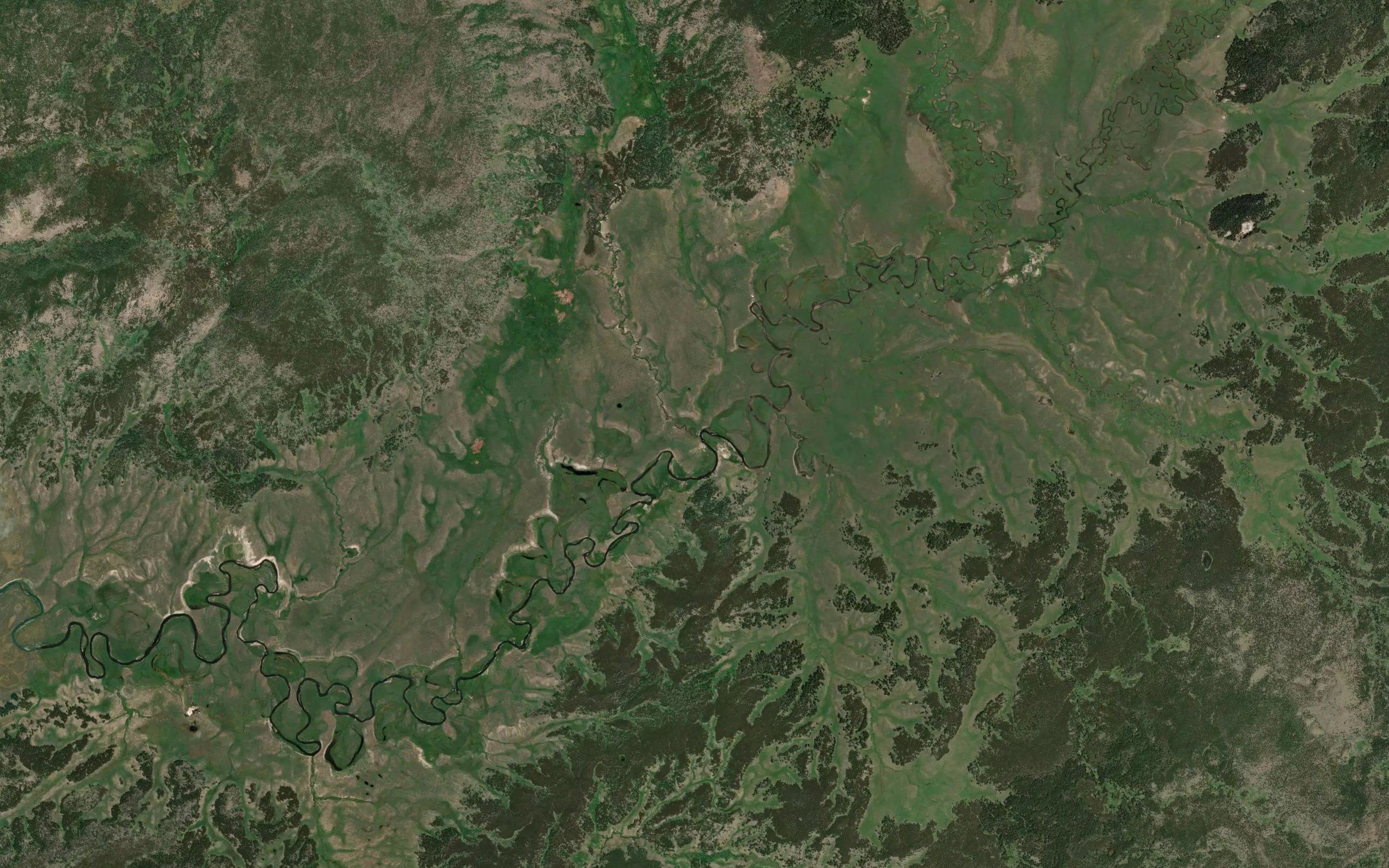 Astringent Creek
