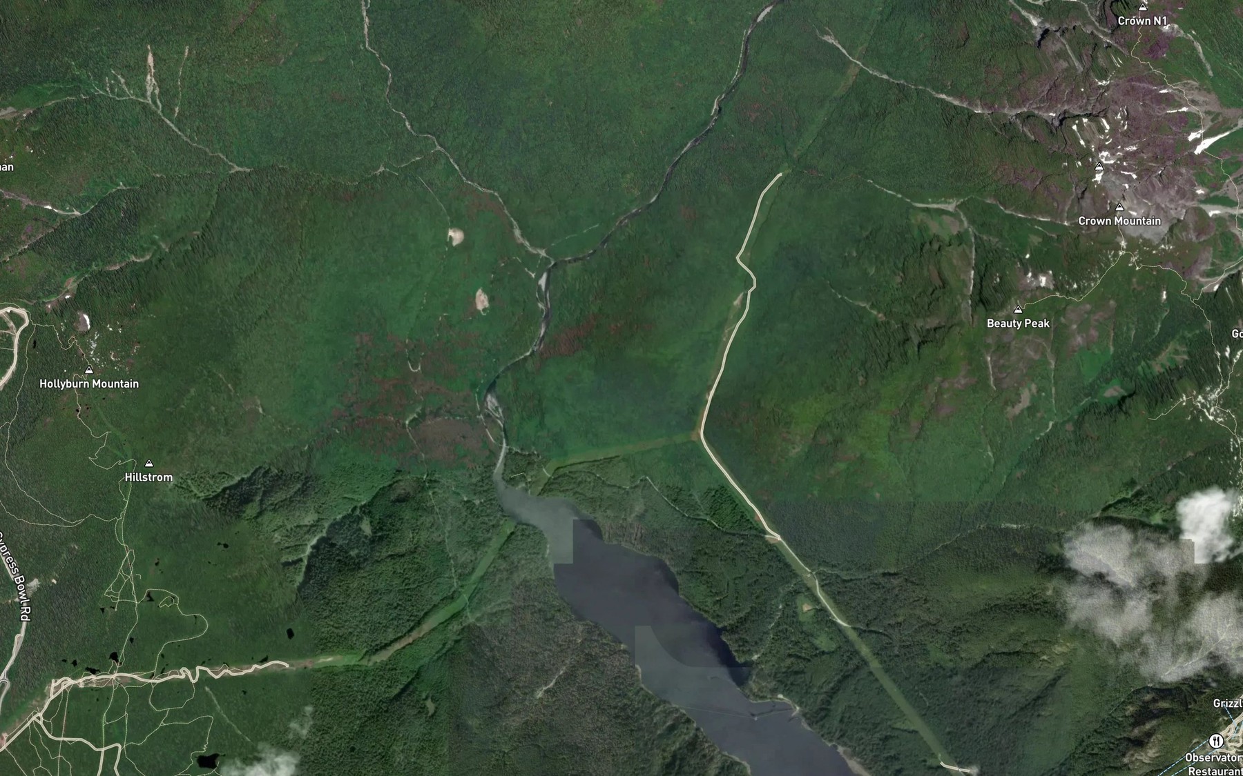 Satellite map of the Fellowes Creek