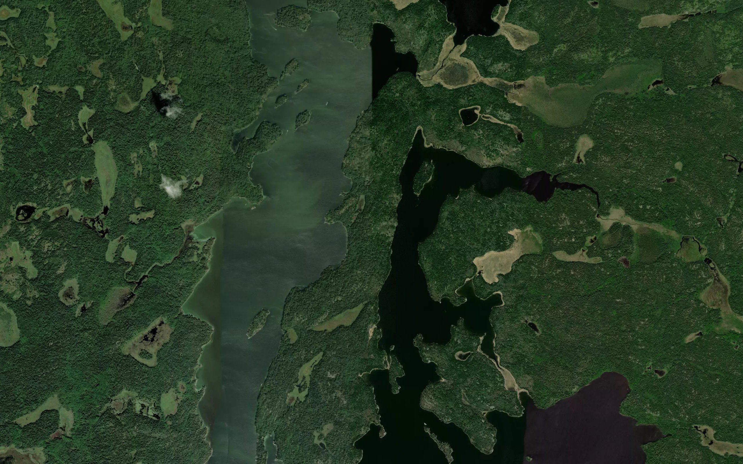 Rice Bay